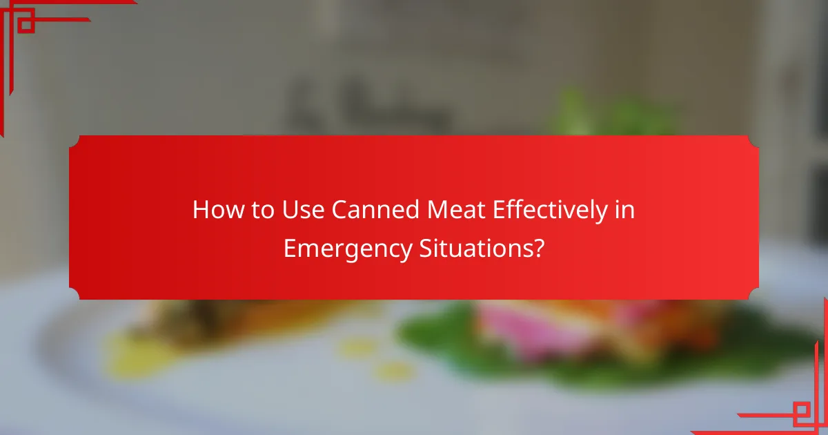 How to Use Canned Meat Effectively in Emergency Situations?