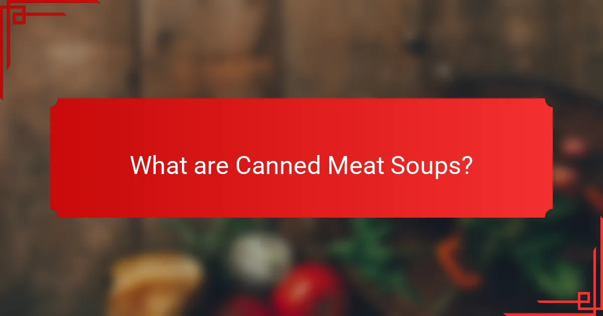 What are Canned Meat Soups?
