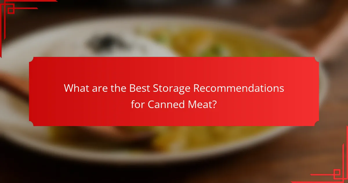 What are the Best Storage Recommendations for Canned Meat?