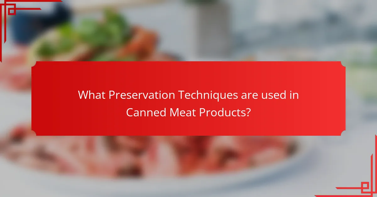What Preservation Techniques are used in Canned Meat Products?